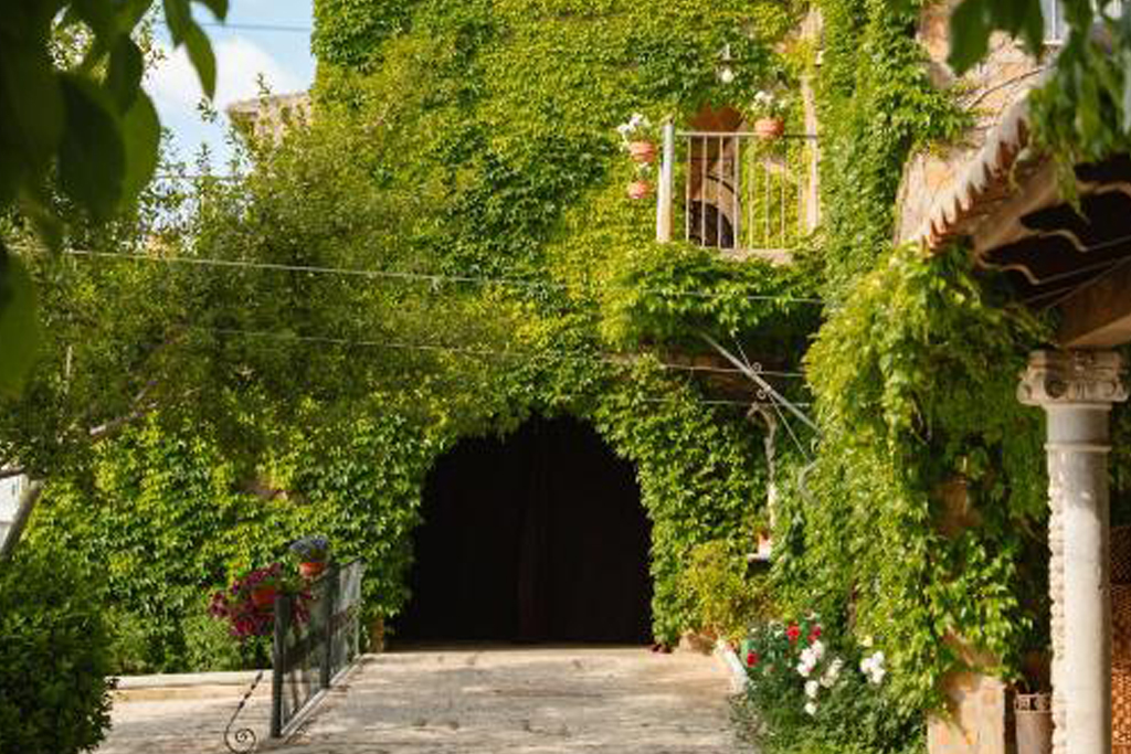 Finca Palacio Arudecas
